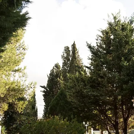 Villa The House